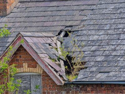 Professional water damage restoration services in Seattle - CrestDash Team